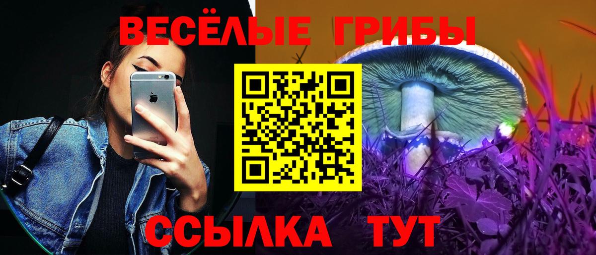 Псилоцибиновые грибы MAGIC MUSHROOMS  Вход с VPN  Подольск 